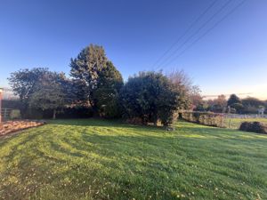 Photo 4- click for photo gallery